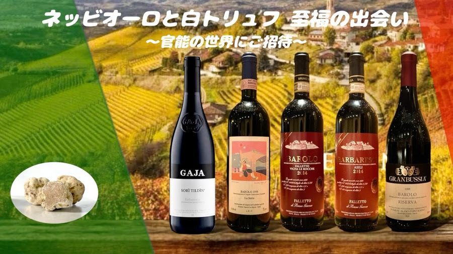 シノワ銀座店・ワイン会・第２弾・ １１月２３日（土・祝）開催！【ネッビオーロと白トリュフ　至福の出会い 】〜官能の世界にご招待〜